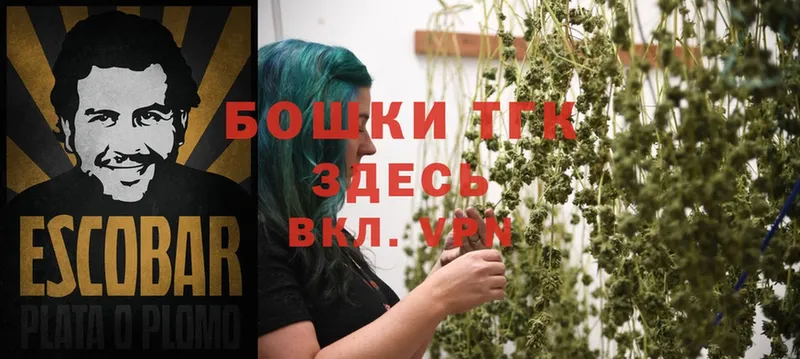 Бошки марихуана THC 21%  Агидель 